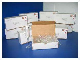 Champagne Invitations showing pack-n-ship by Val